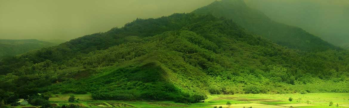 Coorg,  Bandipur