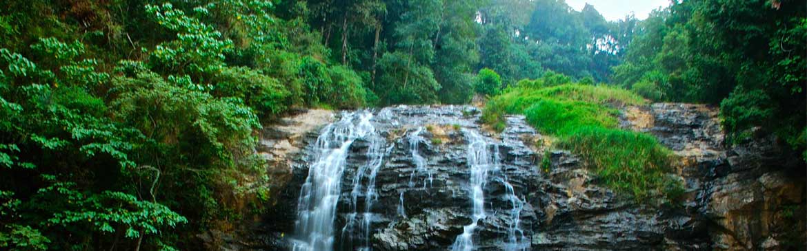 Coorg,  Bandipur